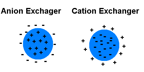 Katyon Değişimi ve Anyon Değişimi Nedir?