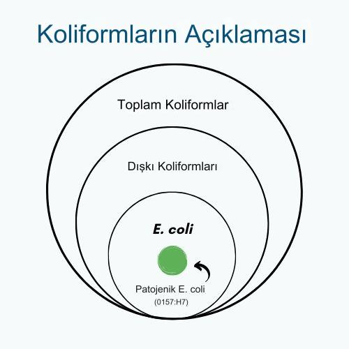 Toplam Koliformlar