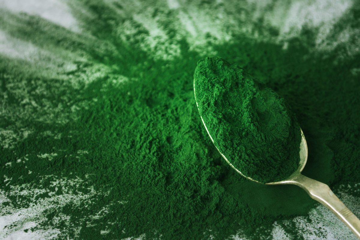 Chlorella ve Ağır Metal Detoksifikasyonu