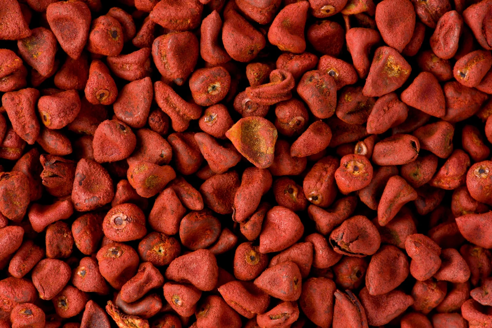 Annatto Tohumları