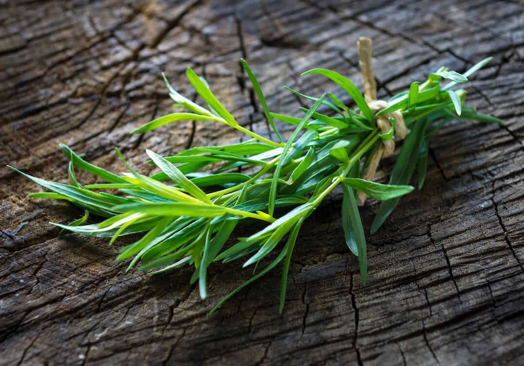 Tarhun (Tarragon)