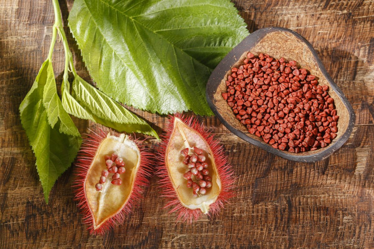 Annatto Tohumları: Renkli Baharatın Bilinmeyen Yönleri