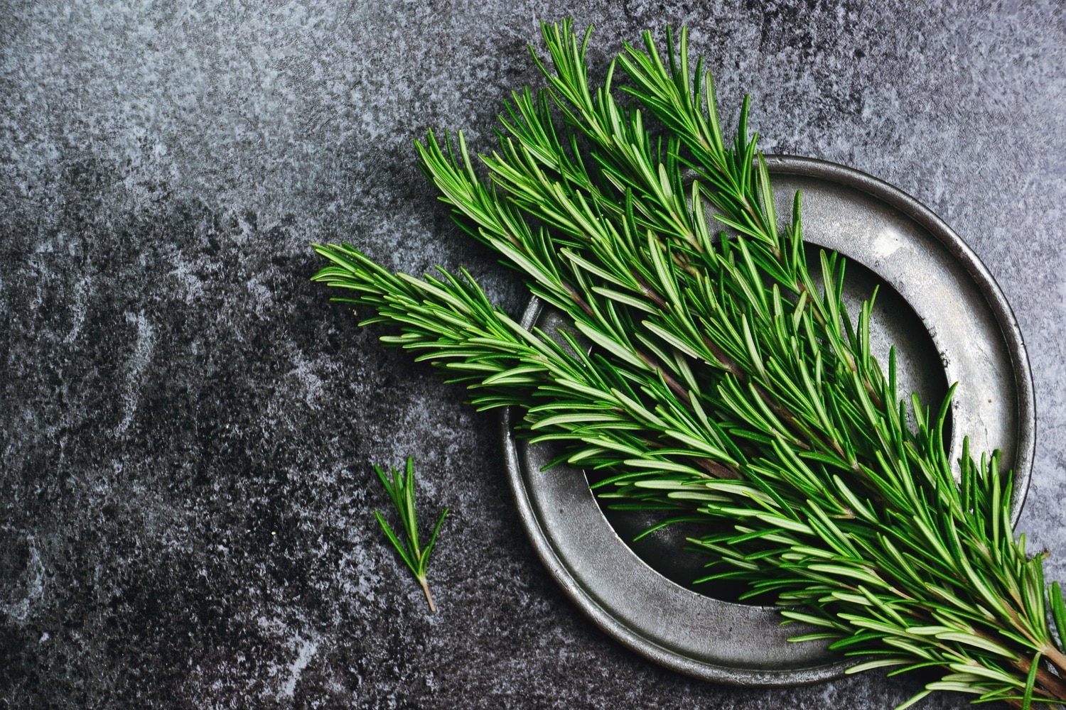 Biberiye (Rosemary)