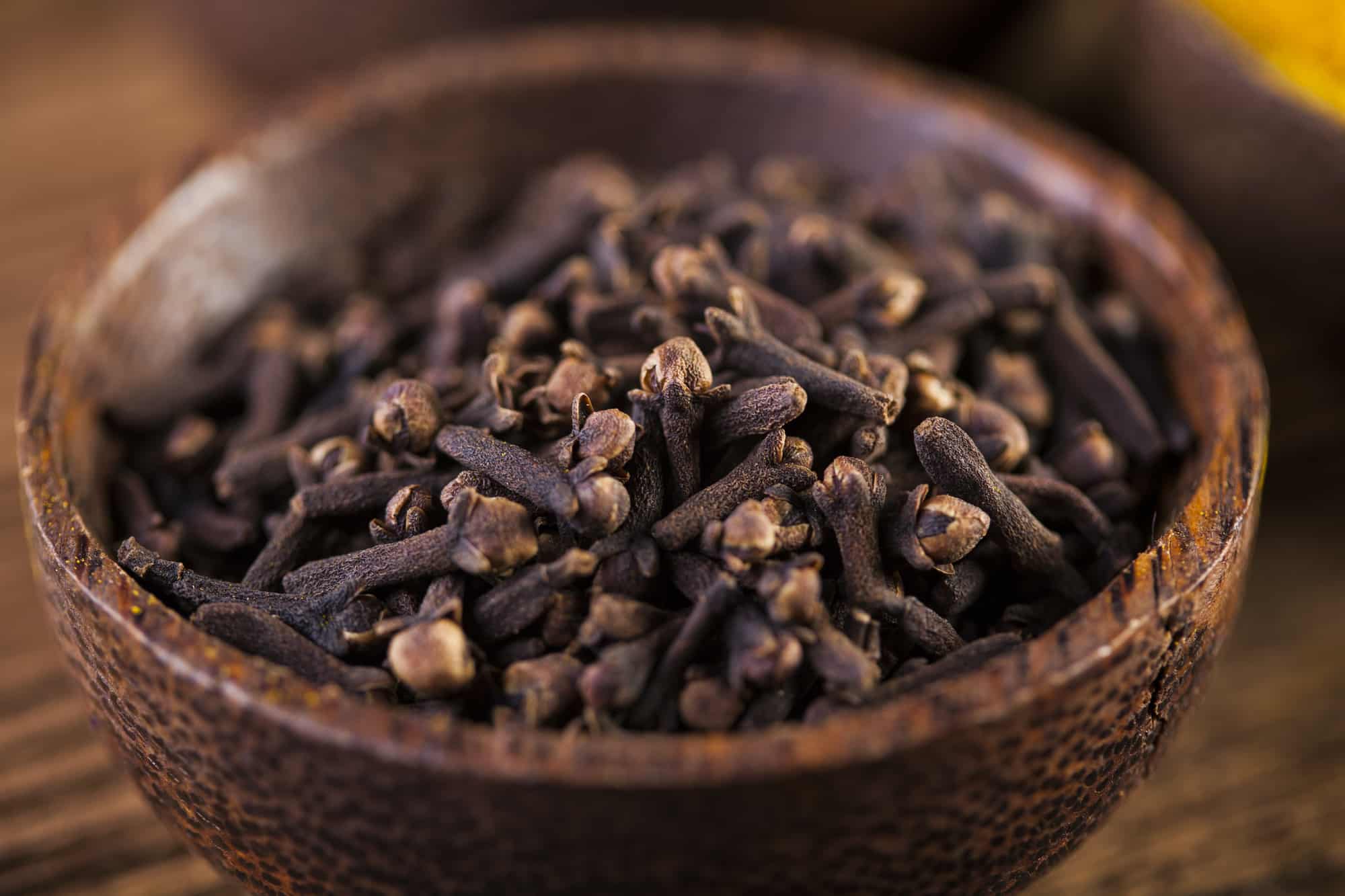 Karanfil (Cloves)