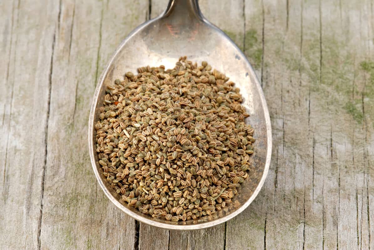 Kereviz Tohumu (Celery Seeds)