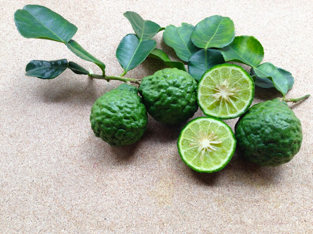 Kaffir Lime Yaprakları: Tartışmalı Bir İsim ve Lezzetli Bir Ot