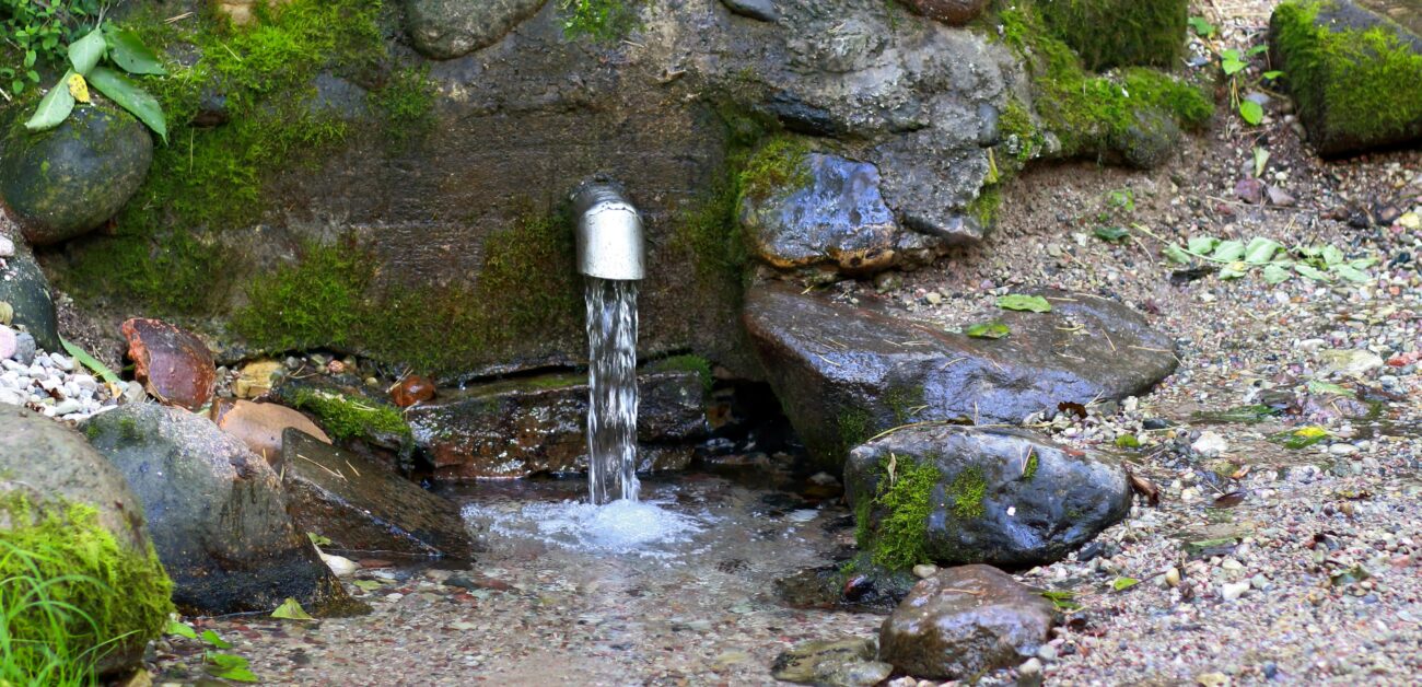 Kaynak Suyu ve Arıtılmış Su: Hangisi Daha İyi