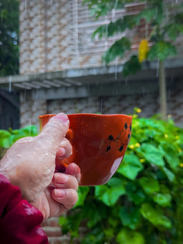 Yağmur Suyu İçilir Mi? Sağlık ve Güvenlik Kılavuzu